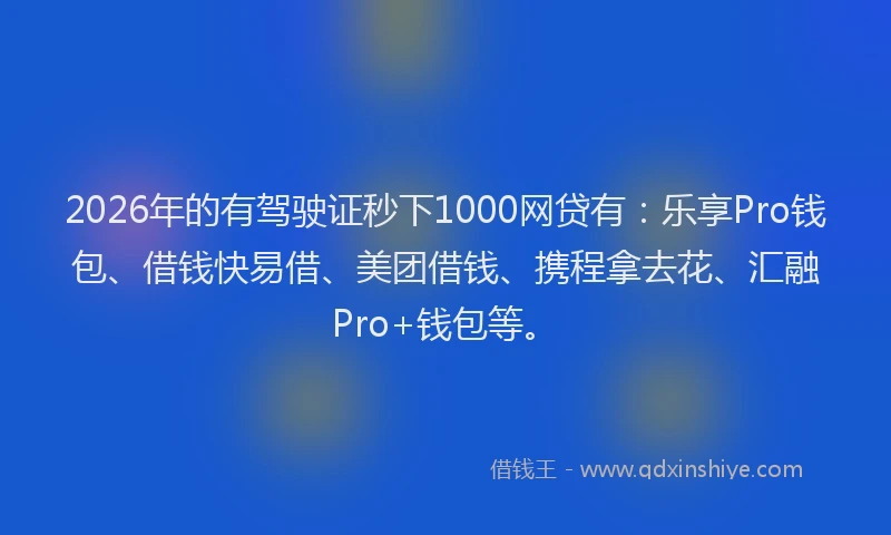 2026年的有驾驶证秒下1000网贷有：乐享Pro钱包、借钱快易借、美团借钱、携程拿去花、汇融Pro+钱包等。