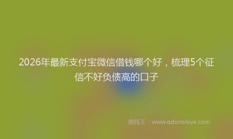 2026年最新支付宝微信借钱哪个好，梳理5个征信不好负债高的口子