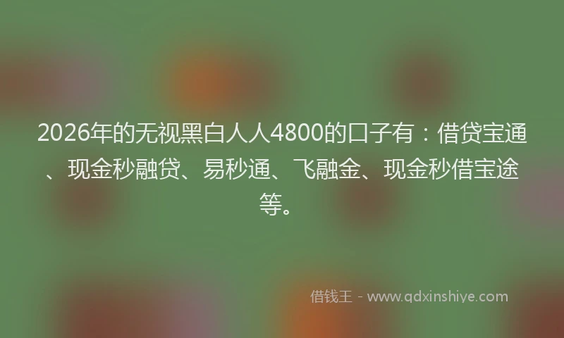 2026年的无视黑白人人4800的口子有：借贷宝通、现金秒融贷、易秒通、飞融金、现金秒借宝途等。