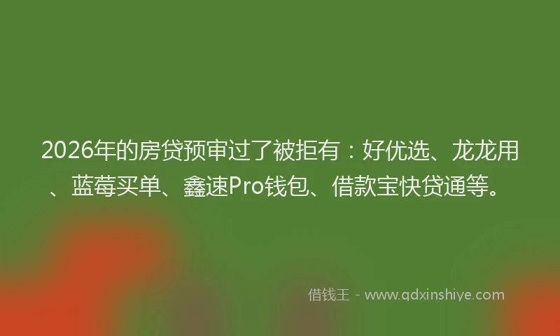 2026年的房贷预审过了被拒有：好优选、龙龙用、蓝莓买单、鑫速Pro钱包、借款宝快贷通等。