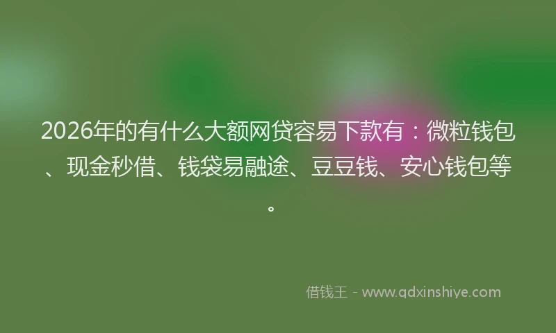 2026年的有什么大额网贷容易下款有：微粒钱包、现金秒借、钱袋易融途、豆豆钱、安心钱包等。