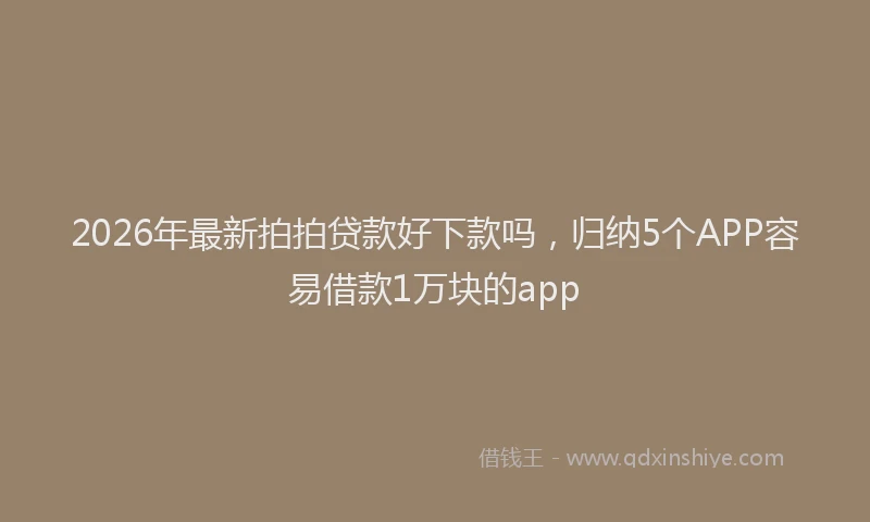 2026年最新拍拍贷款好下款吗，归纳5个APP容易借款1万块的app