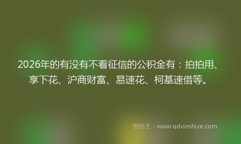 2026年的有没有不看征信的公积金有：拍拍用、享下花、沪商财富、易速花、柯基速借等。