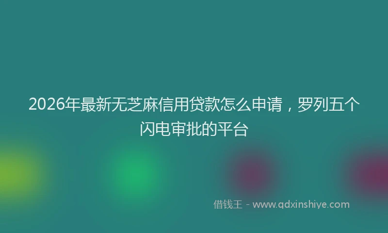 2026年最新无芝麻信用贷款怎么申请，罗列五个闪电审批的平台