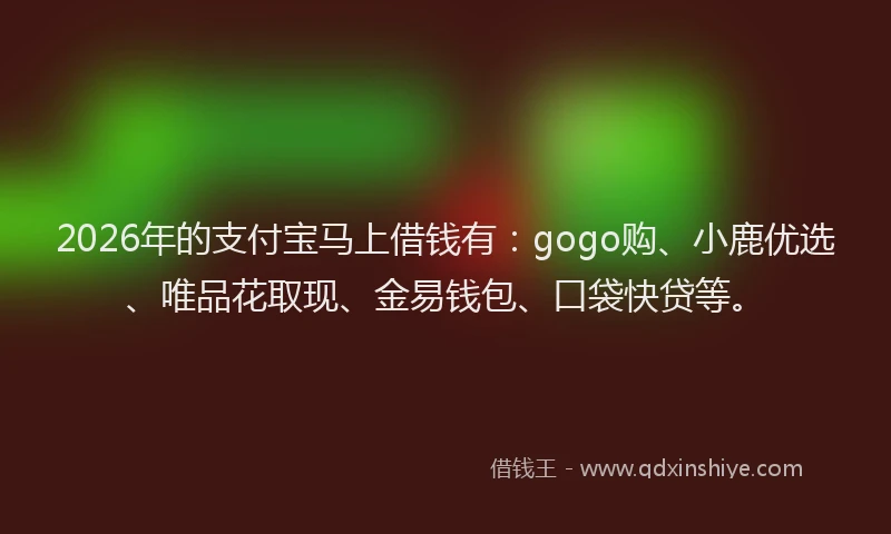 2026年的支付宝马上借钱有：gogo购、小鹿优选、唯品花取现、金易钱包、口袋快贷等。