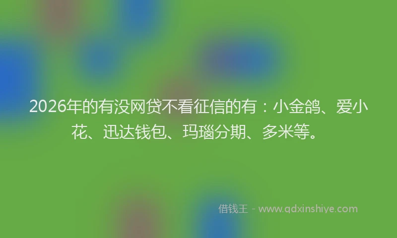 2026年的有没网贷不看征信的有：小金鸽、爱小花、迅达钱包、玛瑙分期、多米等。