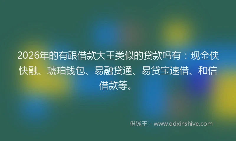 2026年的有跟借款大王类似的贷款吗有：现金侠快融、琥珀钱包、易融贷通、易贷宝速借、和信借款等。