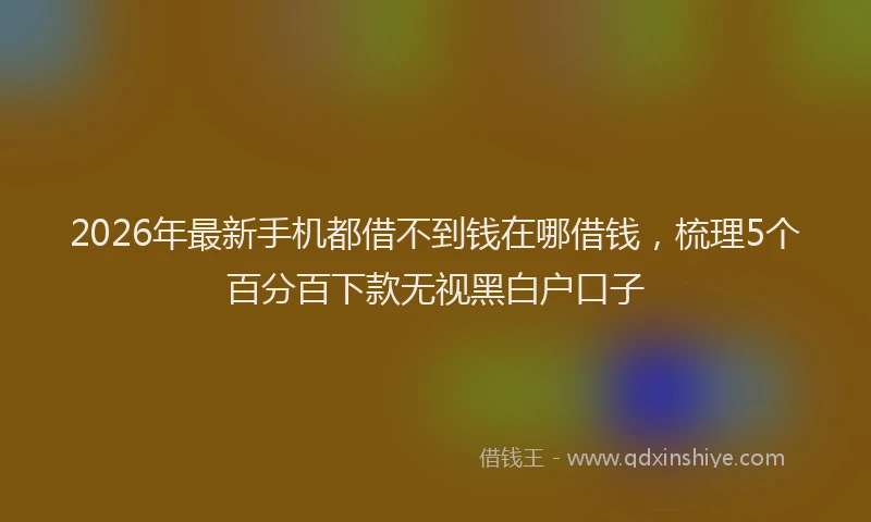 2026年最新手机都借不到钱在哪借钱，梳理5个百分百下款无视黑白户口子