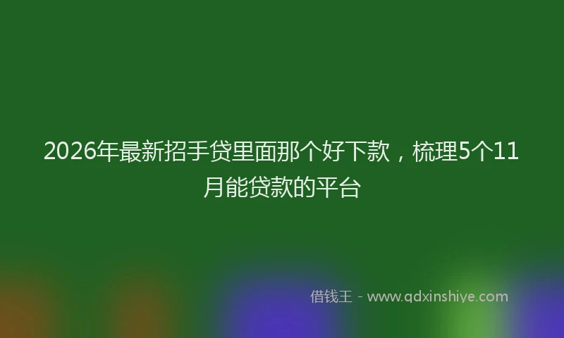 2026年最新招手贷里面那个好下款，梳理5个11月能贷款的平台