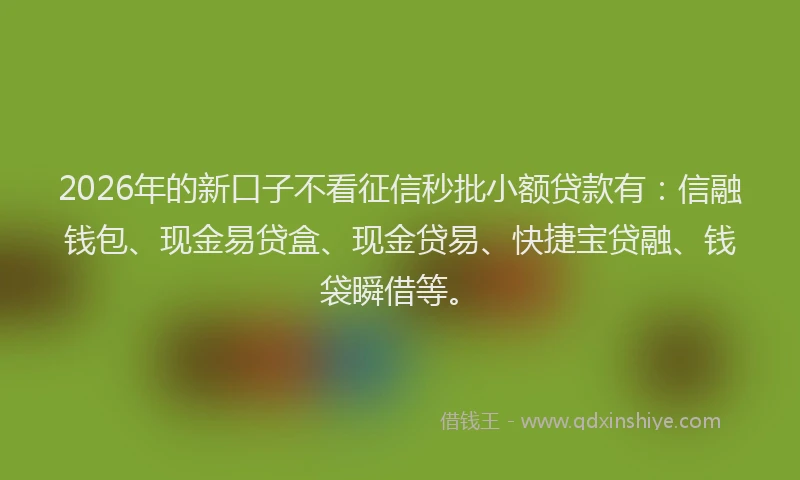 2026年的新口子不看征信秒批小额贷款有：信融钱包、现金易贷盒、现金贷易、快捷宝贷融、钱袋瞬借等。