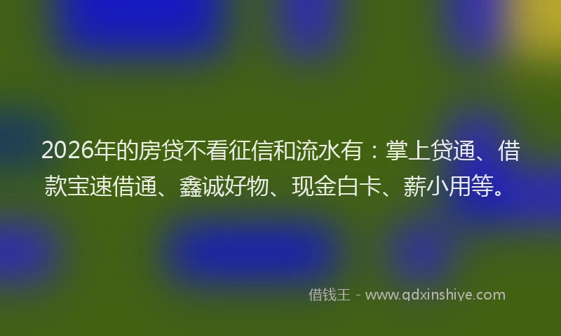 2026年的房贷不看征信和流水有：掌上贷通、借款宝速借通、鑫诚好物、现金白卡、薪小用等。