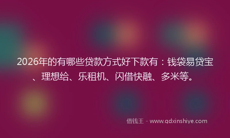 2026年的有哪些贷款方式好下款有：钱袋易贷宝、理想给、乐租机、闪借快融、多米等。
