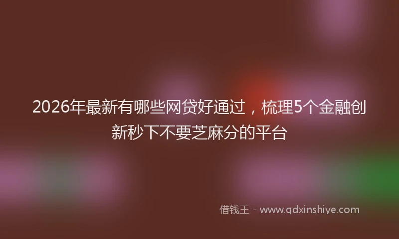 2026年最新有哪些网贷好通过，梳理5个金融创新秒下不要芝麻分的平台