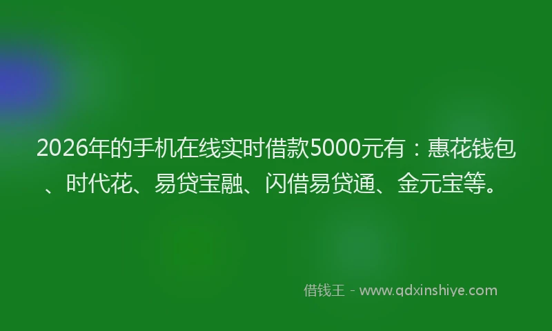 2026年的手机在线实时借款5000元有：惠花钱包、时代花、易贷宝融、闪借易贷通、金元宝等。