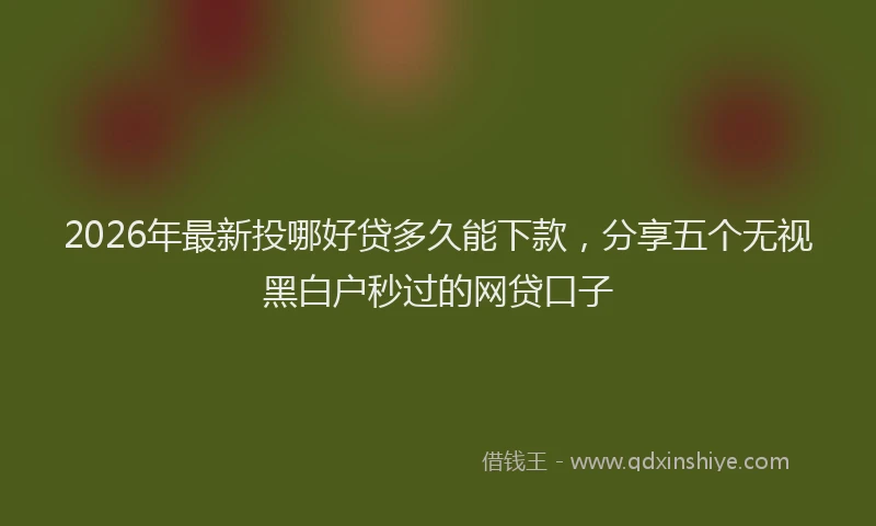 2026年最新投哪好贷多久能下款，分享五个无视黑白户秒过的网贷口子