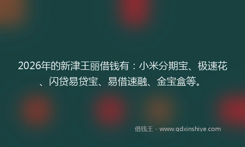 2026年的新津王丽借钱有：小米分期宝、极速花、闪贷易贷宝、易借速融、金宝盒等。