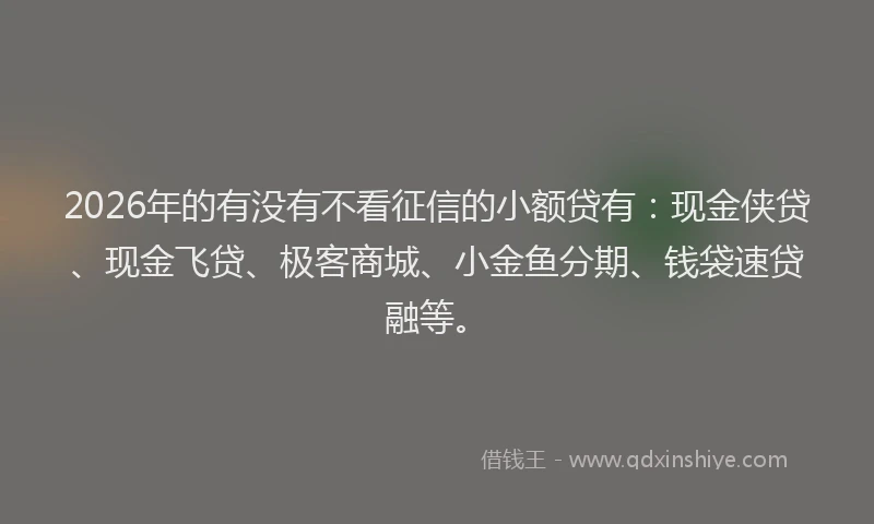 2026年的有没有不看征信的小额贷有：现金侠贷、现金飞贷、极客商城、小金鱼分期、钱袋速贷融等。