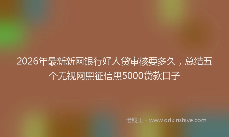 2026年最新新网银行好人贷审核要多久，总结五个无视网黑征信黑5000贷款口子