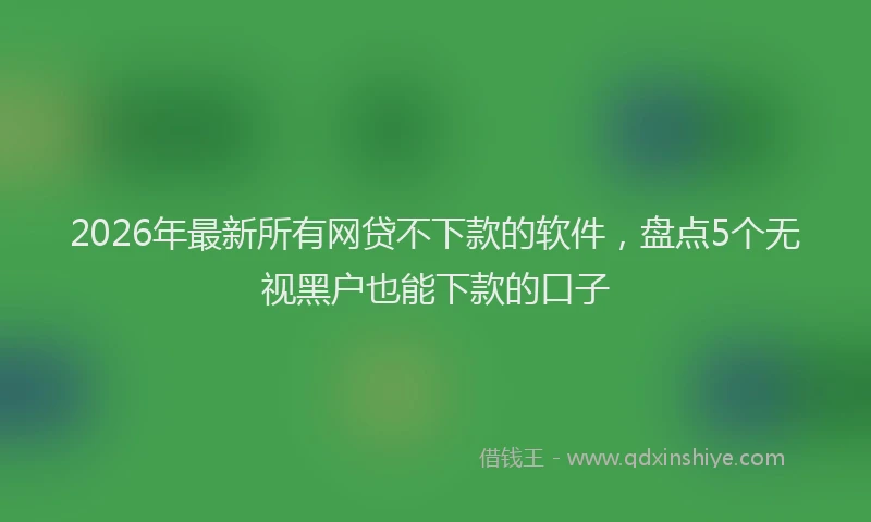 2026年最新所有网贷不下款的软件，盘点5个无视黑户也能下款的口子