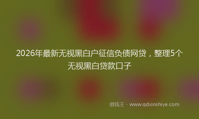 2026年最新无视黑白户征信负债网贷，整理5个无视黑白贷款口子