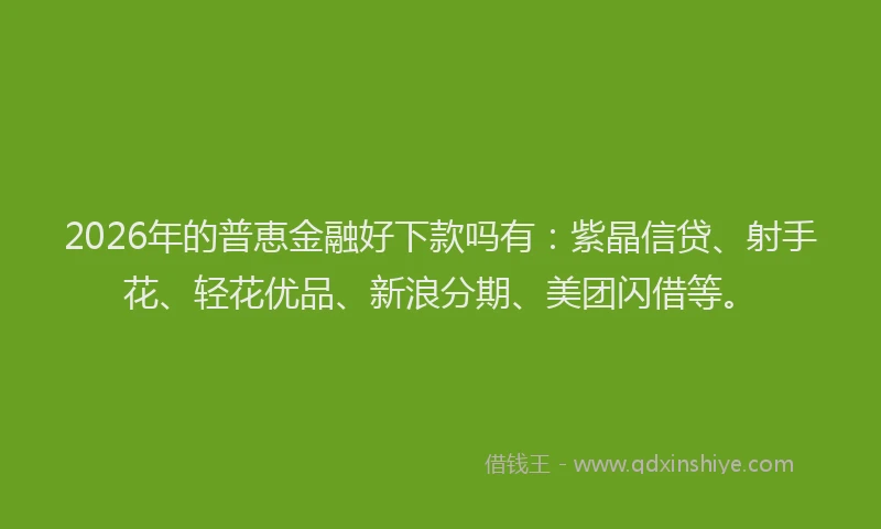 2026年的普恵金融好下款吗有：紫晶信贷、射手花、轻花优品、新浪分期、美团闪借等。