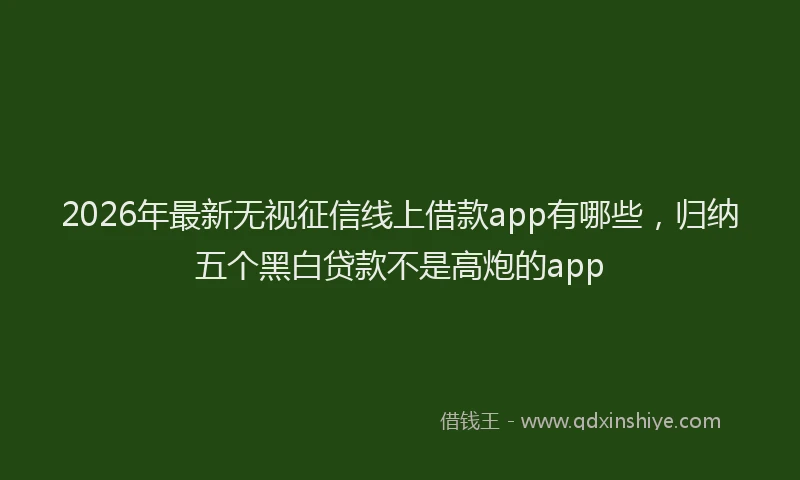 2026年最新无视征信线上借款app有哪些，归纳五个黑白贷款不是高炮的app