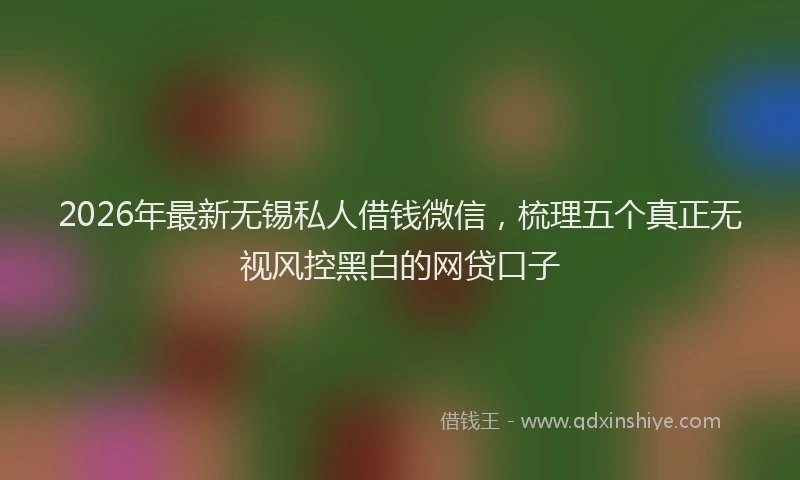 2026年最新无锡私人借钱微信，梳理五个真正无视风控黑白的网贷口子