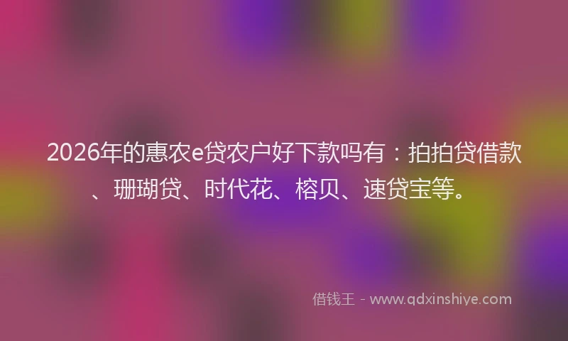2026年的惠农e贷农户好下款吗有：拍拍贷借款、珊瑚贷、时代花、榕贝、速贷宝等。