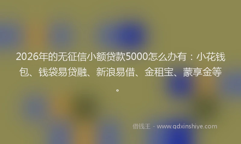 2026年的无征信小额贷款5000怎么办有：小花钱包、钱袋易贷融、新浪易借、金租宝、蒙享金等。