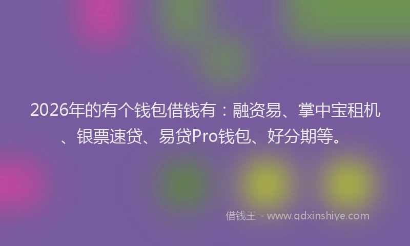 2026年的有个钱包借钱有：融资易、掌中宝租机、银票速贷、易贷Pro钱包、好分期等。
