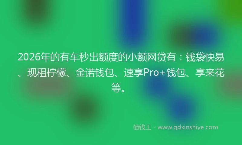 2026年的有车秒出额度的小额网贷有：钱袋快易、现租柠檬、金诺钱包、速享Pro+钱包、享来花等。