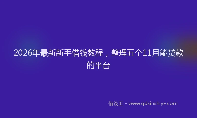 2026年最新新手借钱教程，整理五个11月能贷款的平台