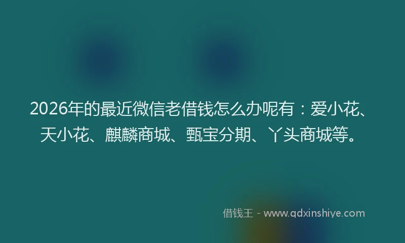 2026年的最近微信老借钱怎么办呢有：爱小花、天小花、麒麟商城、甄宝分期、丫头商城等。