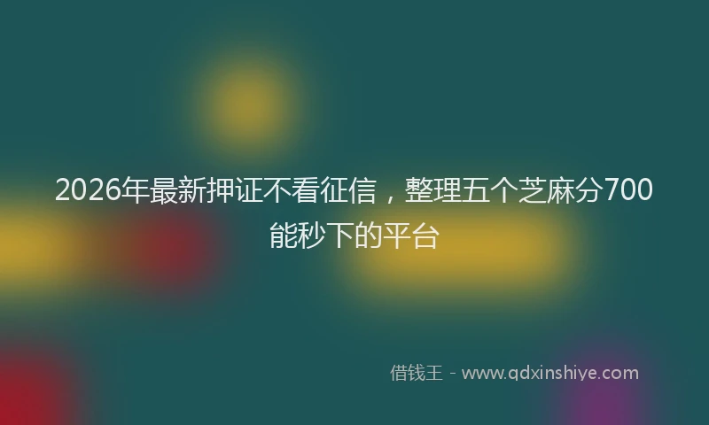 2026年最新押证不看征信，整理五个芝麻分700能秒下的平台
