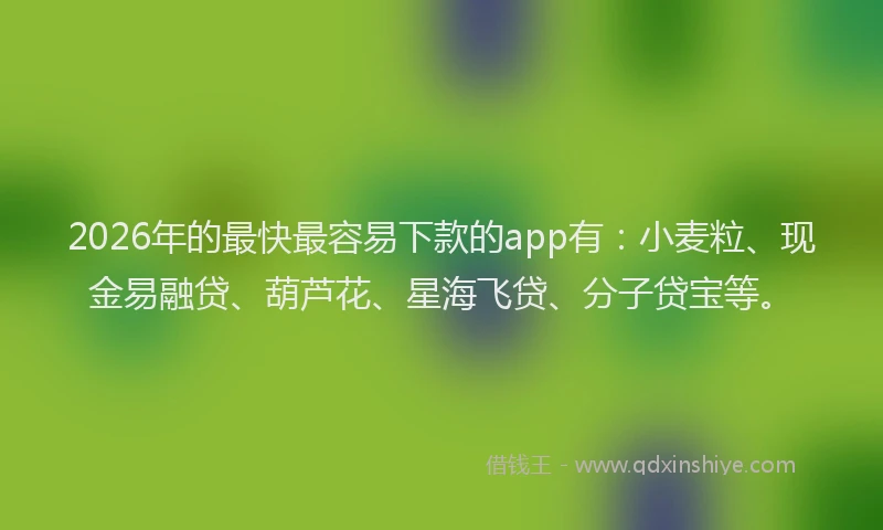 2026年的最快最容易下款的app有：小麦粒、现金易融贷、葫芦花、星海飞贷、分子贷宝等。