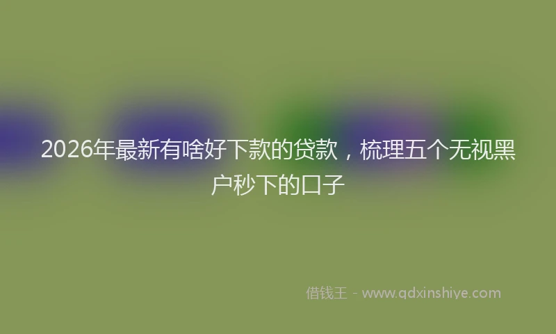 2026年最新有啥好下款的贷款，梳理五个无视黑户秒下的口子
