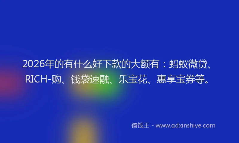 2026年的有什么好下款的大额有：蚂蚁微贷、RICH-购、钱袋速融、乐宝花、惠享宝券等。