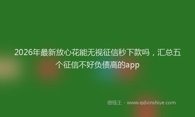 2026年最新放心花能无视征信秒下款吗，汇总五个征信不好负债高的app