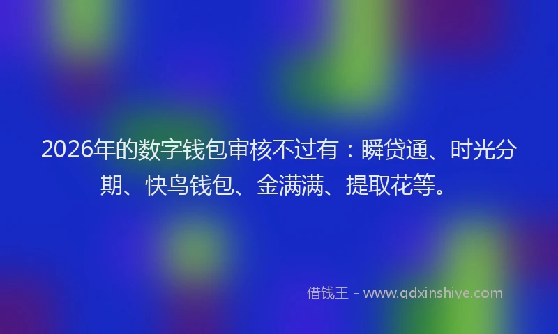 2026年的数字钱包审核不过有：瞬贷通、时光分期、快鸟钱包、金满满、提取花等。