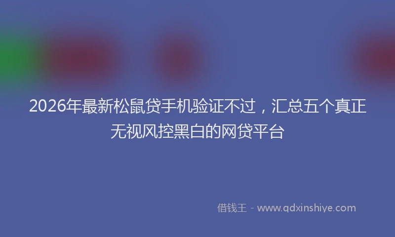 2026年最新松鼠贷手机验证不过，汇总五个真正无视风控黑白的网贷平台