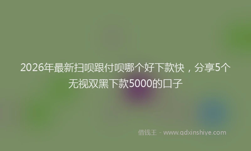 2026年最新扫呗跟付呗哪个好下款快，分享5个无视双黑下款5000的口子