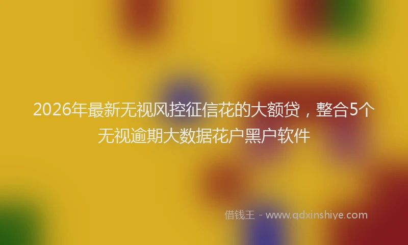2026年最新无视风控征信花的大额贷，整合5个无视逾期大数据花户黑户软件