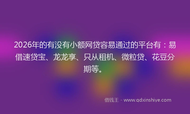 2026年的有没有小额网贷容易通过的平台有：易借速贷宝、龙龙享、只从租机、微粒贷、花豆分期等。
