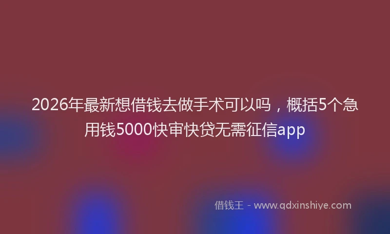 2026年最新想借钱去做手术可以吗，概括5个急用钱5000快审快贷无需征信app