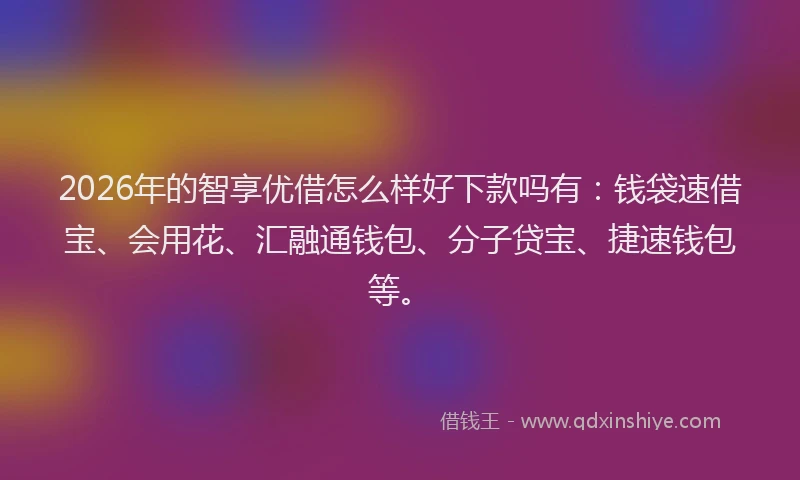 2026年的智享优借怎么样好下款吗有：钱袋速借宝、会用花、汇融通钱包、分子贷宝、捷速钱包等。