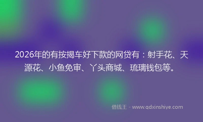 2026年的有按揭车好下款的网贷有：射手花、天源花、小鱼免审、丫头商城、琉璃钱包等。