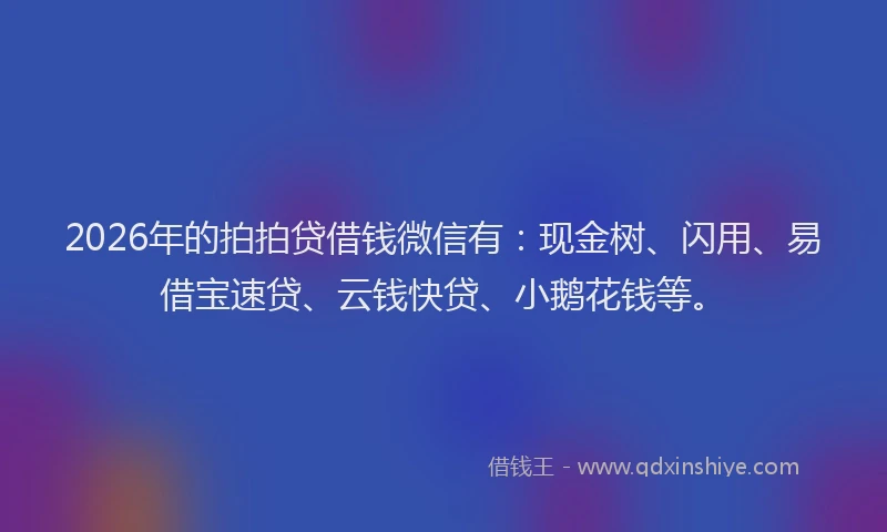 2026年的拍拍贷借钱微信有：现金树、闪用、易借宝速贷、云钱快贷、小鹅花钱等。