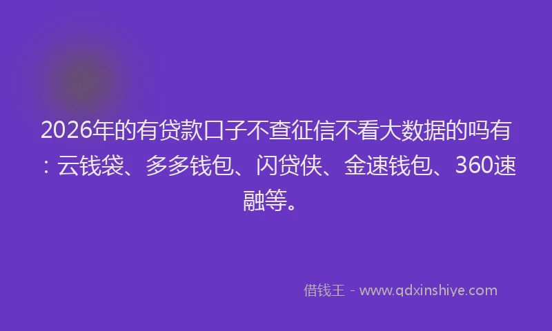 2026年的有贷款口子不查征信不看大数据的吗有：云钱袋、多多钱包、闪贷侠、金速钱包、360速融等。