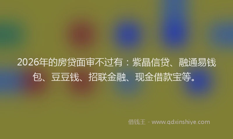 2026年的房贷面审不过有：紫晶信贷、融通易钱包、豆豆钱、招联金融、现金借款宝等。