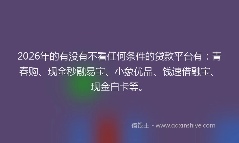 2026年的有没有不看任何条件的贷款平台有：青春购、现金秒融易宝、小象优品、钱速借融宝、现金白卡等。